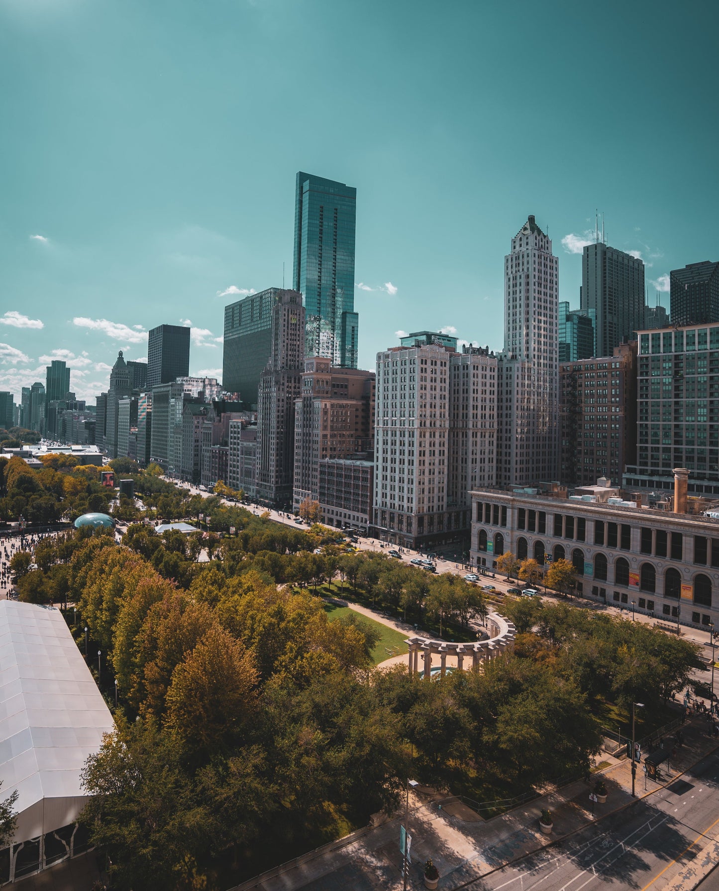 CHICAGO MILLENNIUM PARK